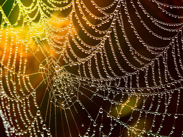 The spider web is an analogy for the trap direct experience can provide.